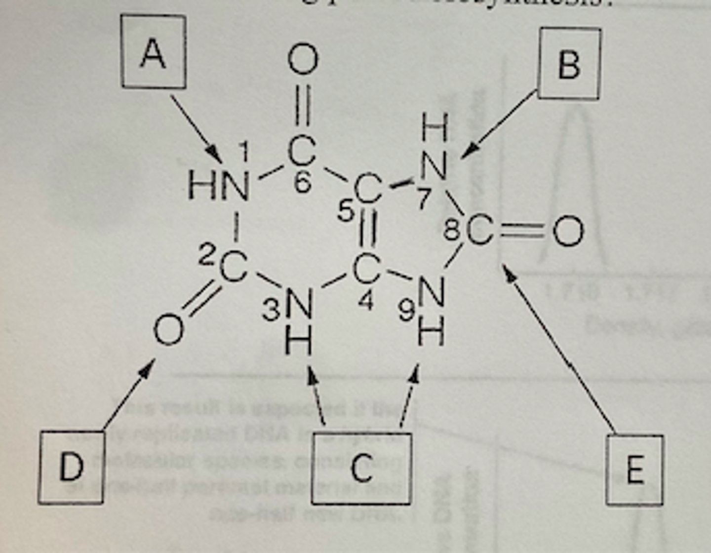 <p>Both D and E</p>