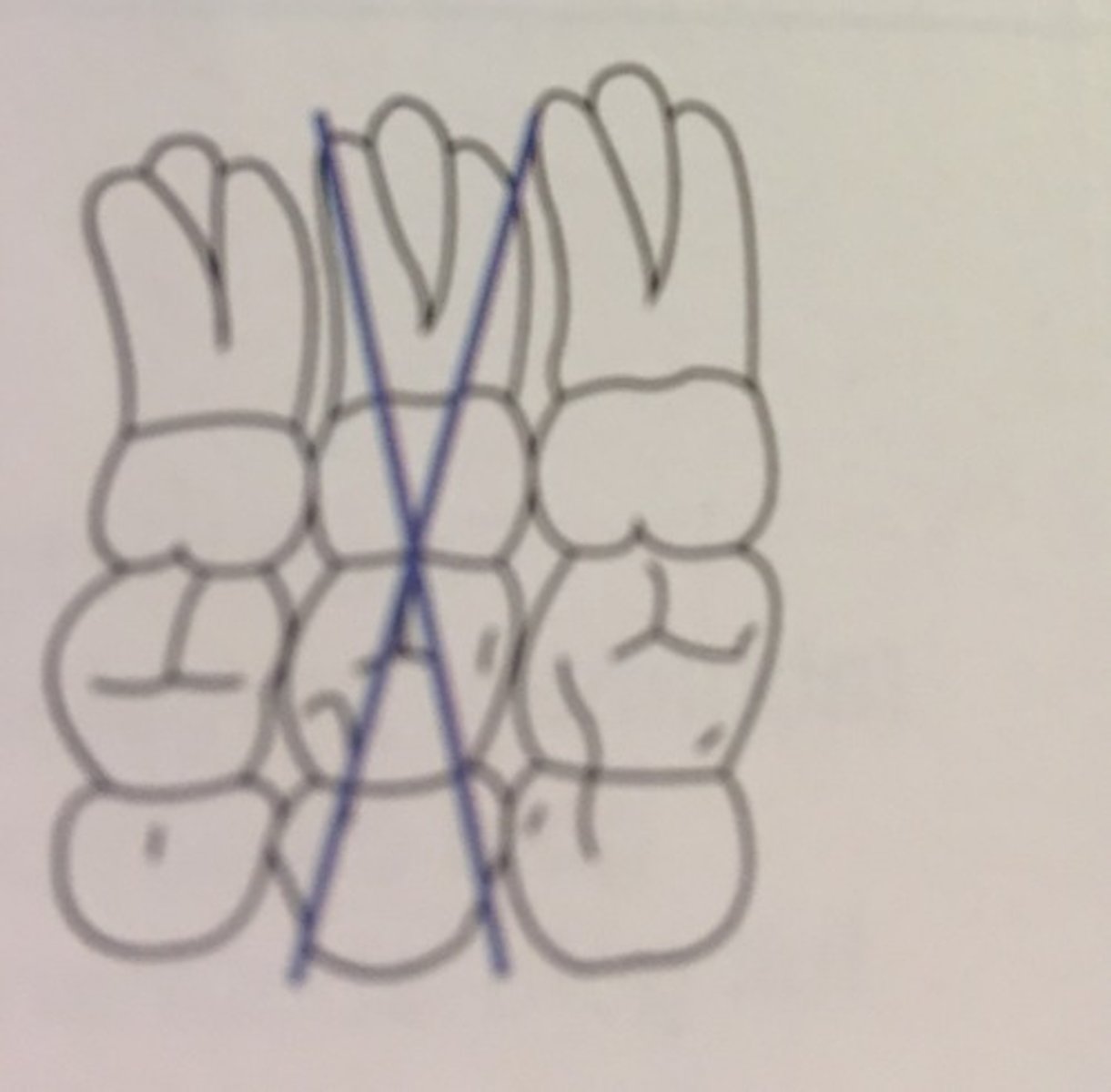 knowt flashcard image