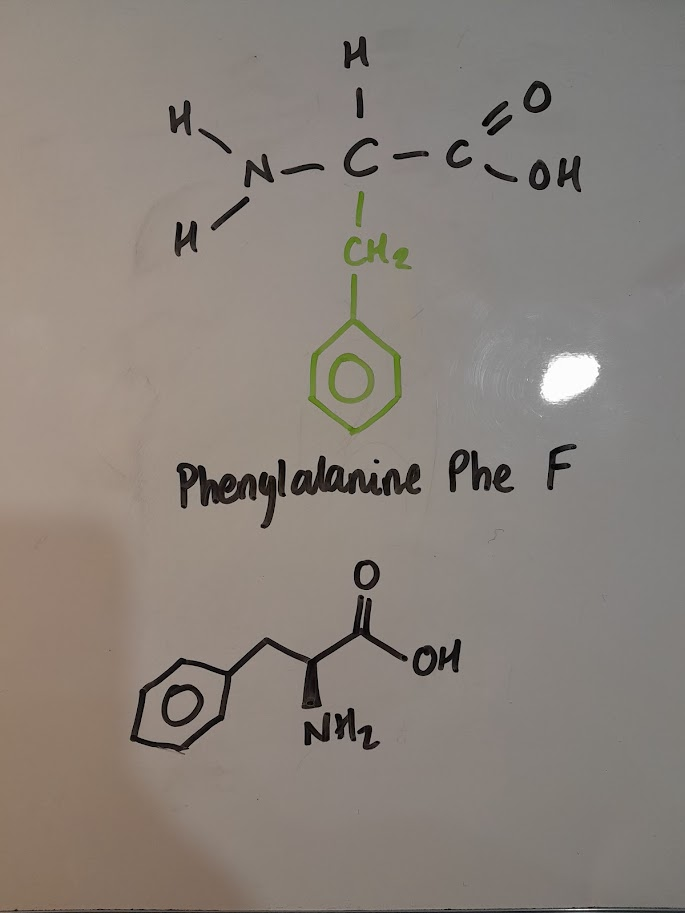 <ul><li><p>Phe</p></li><li><p>F</p></li><li><p>hydrophobic nonpolar</p></li><li><p>aromatic</p></li></ul><p></p>