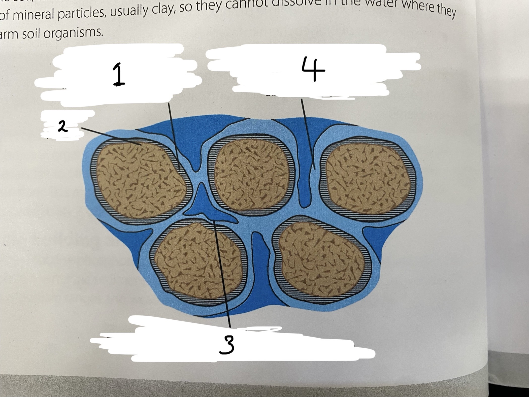<p>Behavioir of water between soil particles </p>