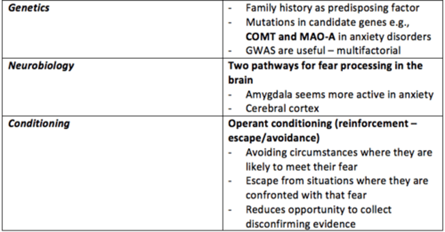 <p>- Amygdala more active</p><p>- Inadequate suppression by prefrontal cortex (PFC)</p><p>- Reduced GABA</p>