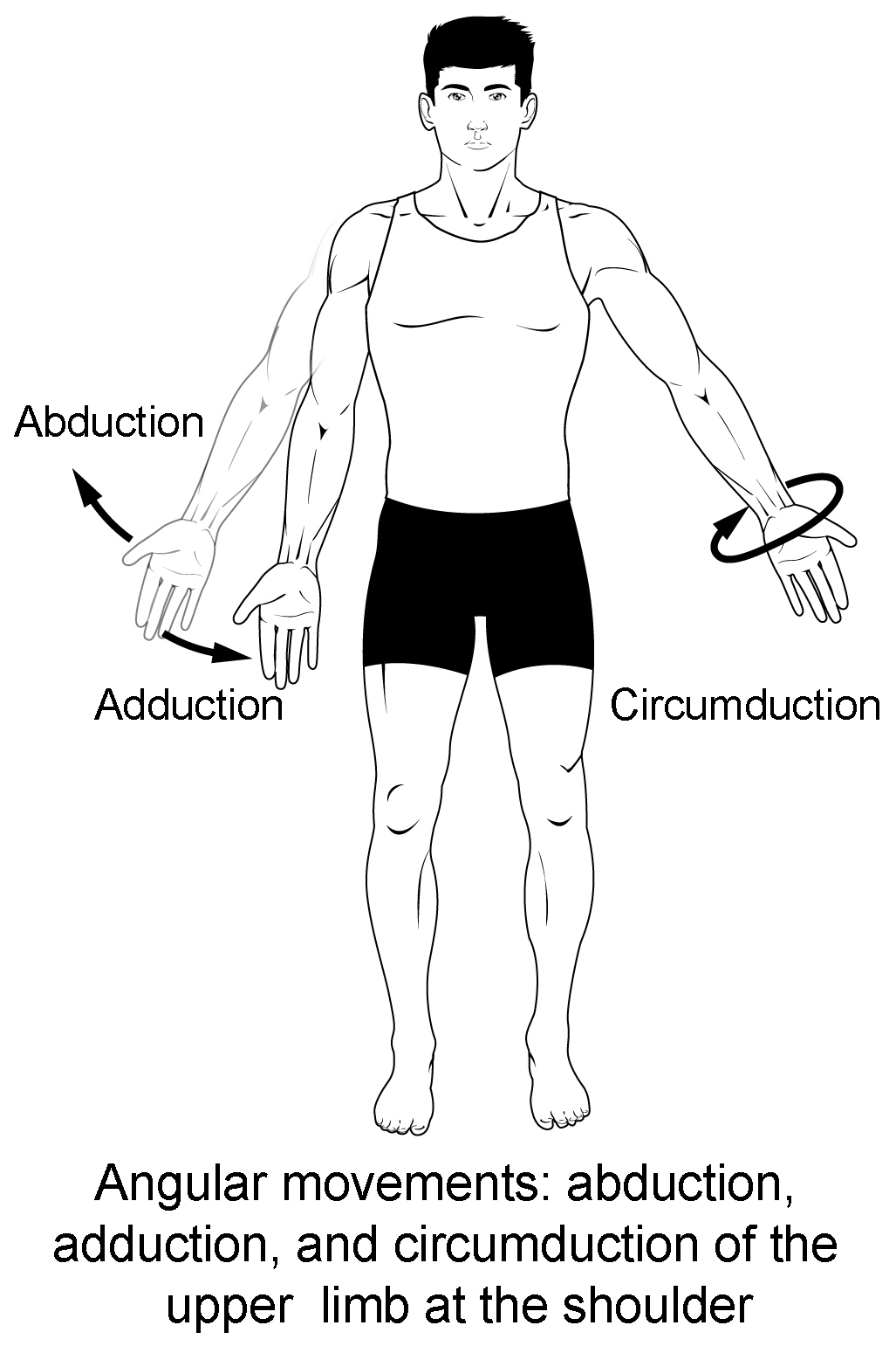 <p>movement away from midline vs toward midline vs combined </p>