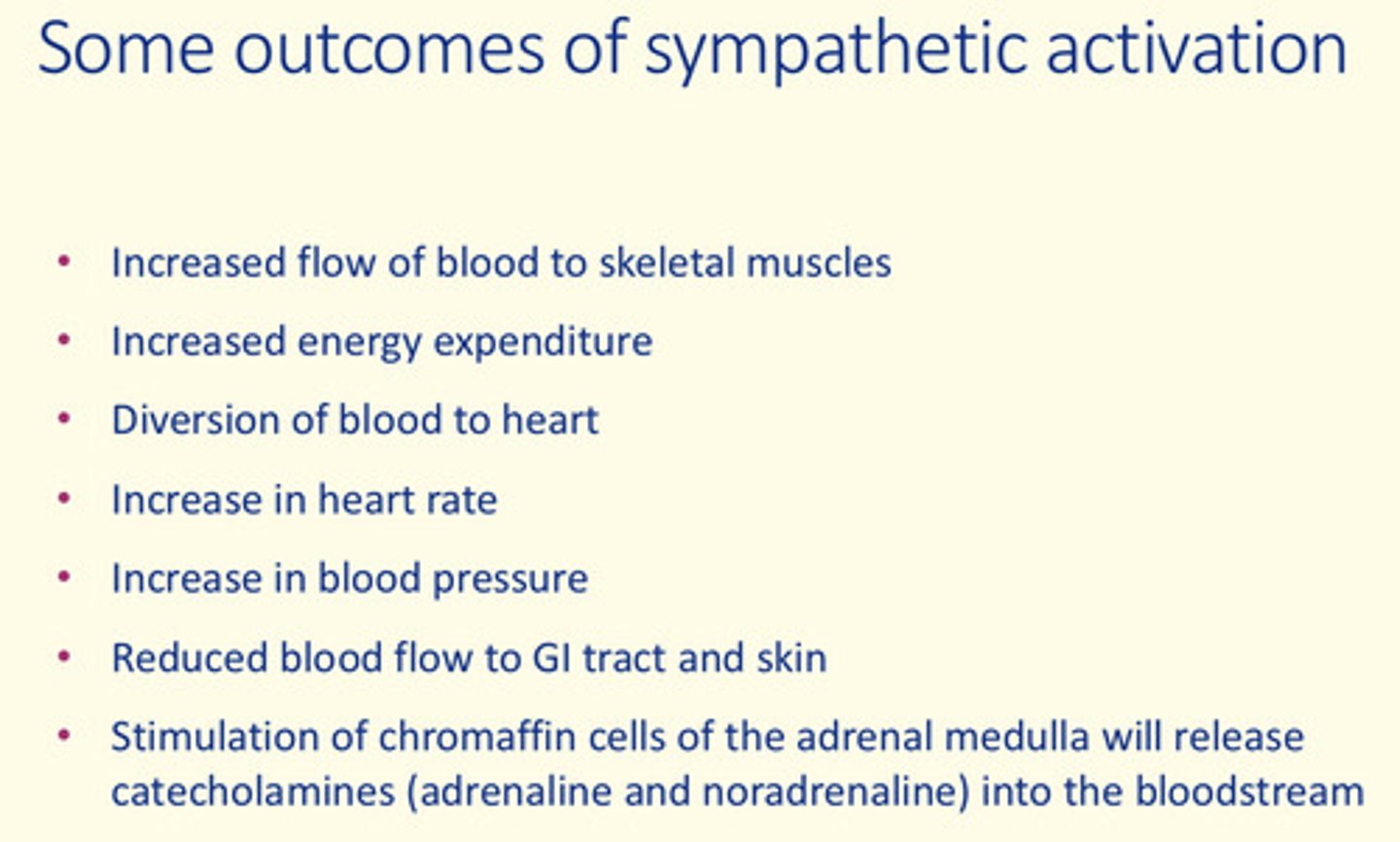 <p>- Increased flow of blood to skeletal muscle</p><p>- Increased energy expenditure</p><p>- Diversion of blood to heart</p><p>- Increase in HR</p><p>- Increase in BP</p><p>- Reduced blood flow to GI tract/skin</p><p>- Stimulation of chromaffin cells of the adrenal medulla - release catecholamines (adrenaline and noradrenaline) into blood</p>