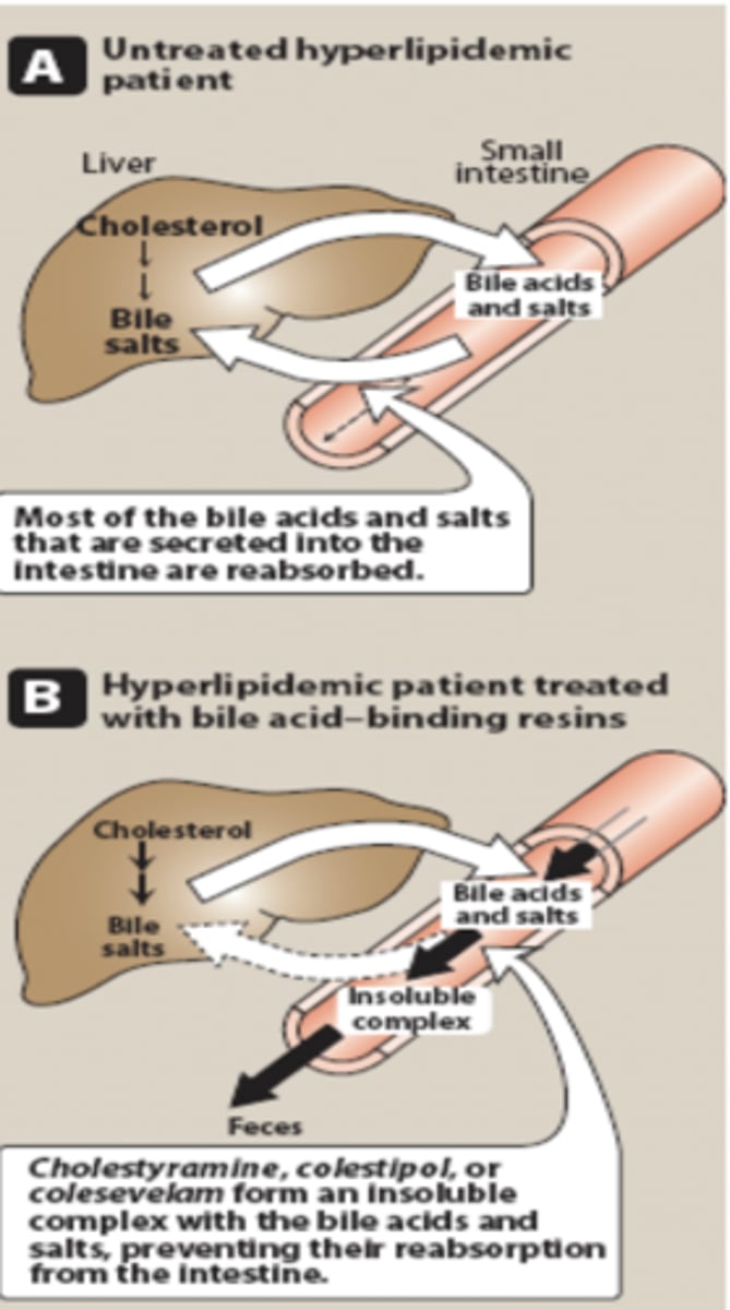 <p>They bind bile acids in the intestine and prevent reabsorption and promote excretion, so the liver uses cholesterol to make more bile acids therefore decreasing LDL.</p>