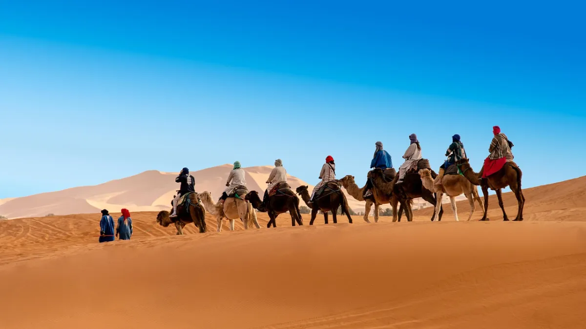 Def: A trade route across the Saharan dessert
LO8: As the trans saharan trade route grew and more people used it, culture spread, an example of this is the spread of islam. 