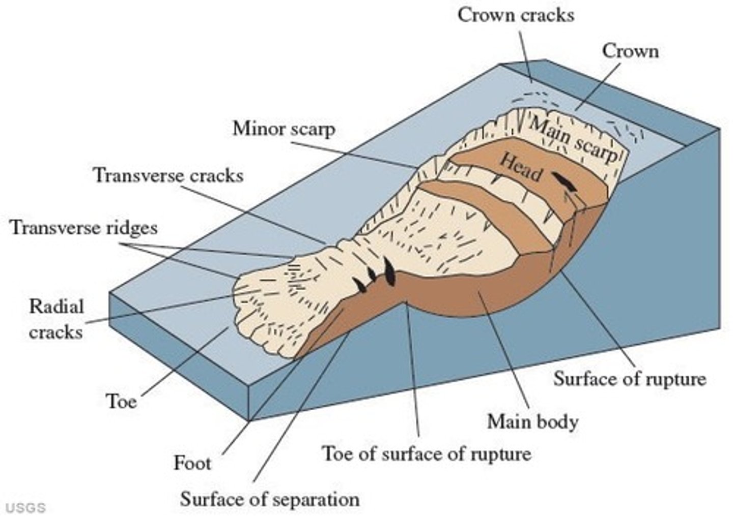 <p>Steep slope at upper edge of landslide, caused by movement of displaced material away from undisturbed ground. (visible part of slide surface).</p>