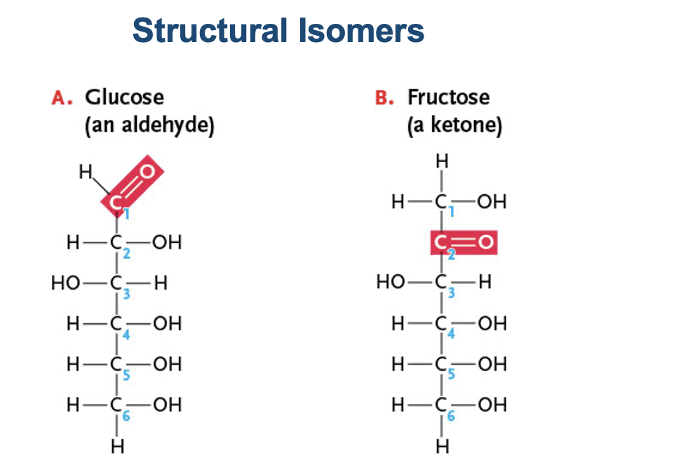 <p>What type of isomer is this? </p>
