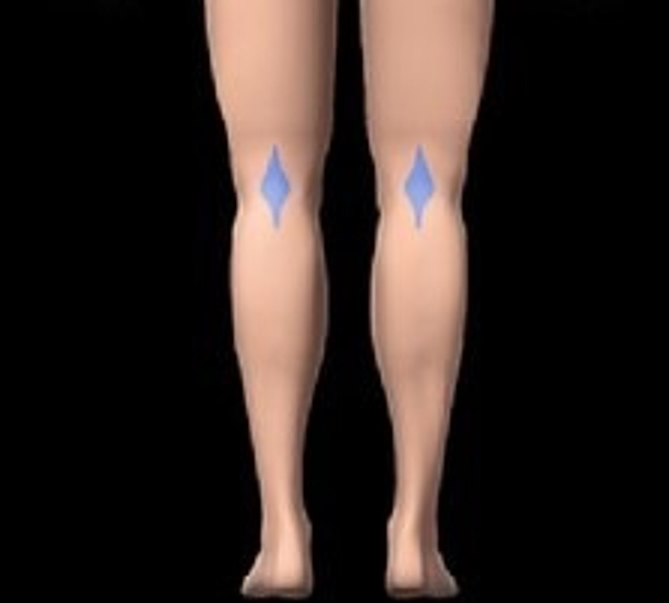 <p>Back of knee</p>