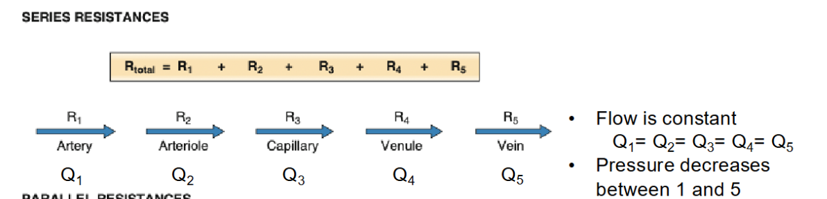 <p>when resistance is in series</p><ul><li><p>pressure will still decrease between 1 and 5</p></li></ul><p></p>