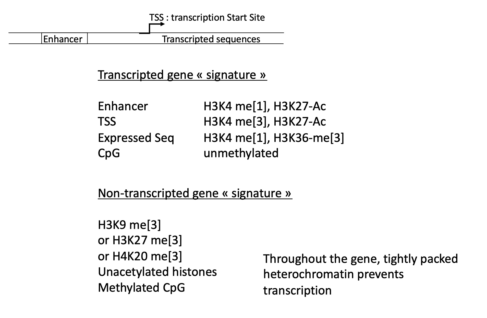 <p>1.4.3 what histone marks are correlated to activation/repression of transcription</p>