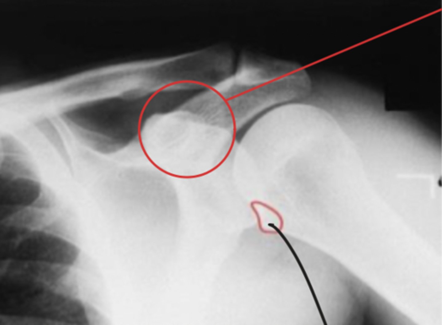 <p>What view is this?</p>