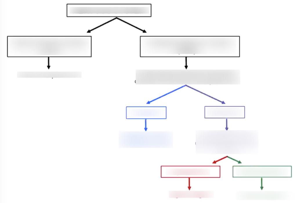 <p>What are the divisions of the nervous system</p>