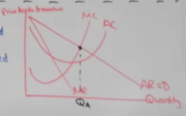 <ul><li><p>where recourses follow consumer demand, where society surplus is maximised, where net social benefit is maximised</p></li><li><p>AR/P = MC</p></li><li><p>MSB = MSC</p></li><li><p>consumer benefit</p><ul><li><p>resources follow consumer demand</p></li><li><p>low prices</p></li><li><p>maximisation of consumer surplus</p></li><li><p>high choice</p></li><li><p>high quality</p></li></ul></li><li><p>producer benefit</p><ul><li><p>retained/increased MS</p></li><li><p>more competitive</p></li><li><p>increased profit</p></li></ul></li></ul><p></p>