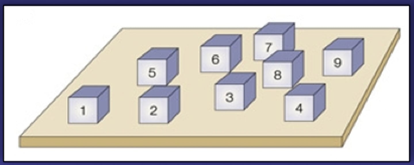 <p>- Present the pp with a series of blocks and examiner points to a random sequence of blocks</p><p>- Participants has to point to the blocks in the same order</p><p>- Measures STM &amp; visuospatial aspects</p><p>- No verbal information is tested</p>