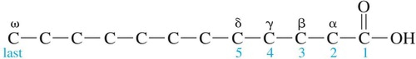 <p>Organic compound containing a carboxyl group (-COOH).</p>