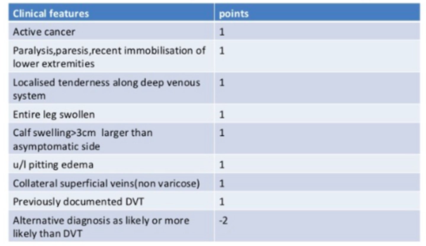 <p>a DVT</p>