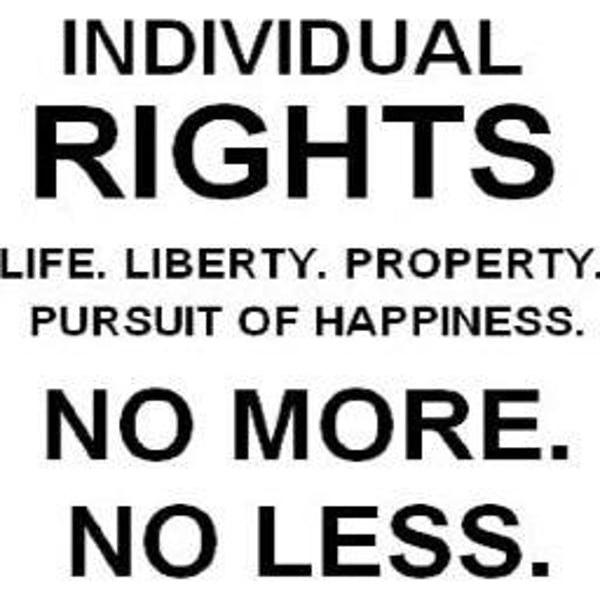 <p>Bill of Rights protects individual rights from the power of the government</p>