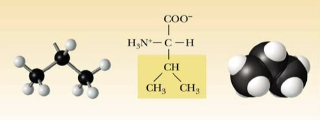 <p>Name:</p><p>Abbreviation:</p><p>Classification:</p>