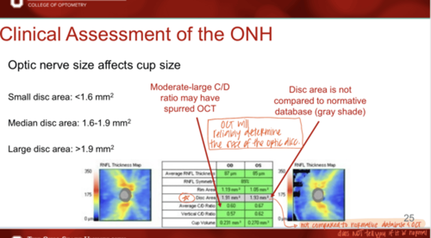 <p>Is the disc area compared to normative data on an OCT?</p>