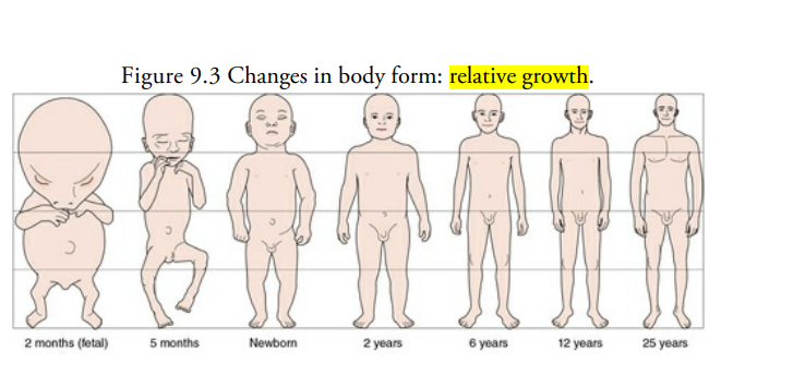 <p><span style="font-family: sans-serif">different rates of growth of different</span><span><br></span><span style="font-family: sans-serif">body parts; the head grows quicker than the legs during</span><span><br></span><span style="font-family: sans-serif">prenatal months but slower than the legs after birth</span></p><p><br></p>