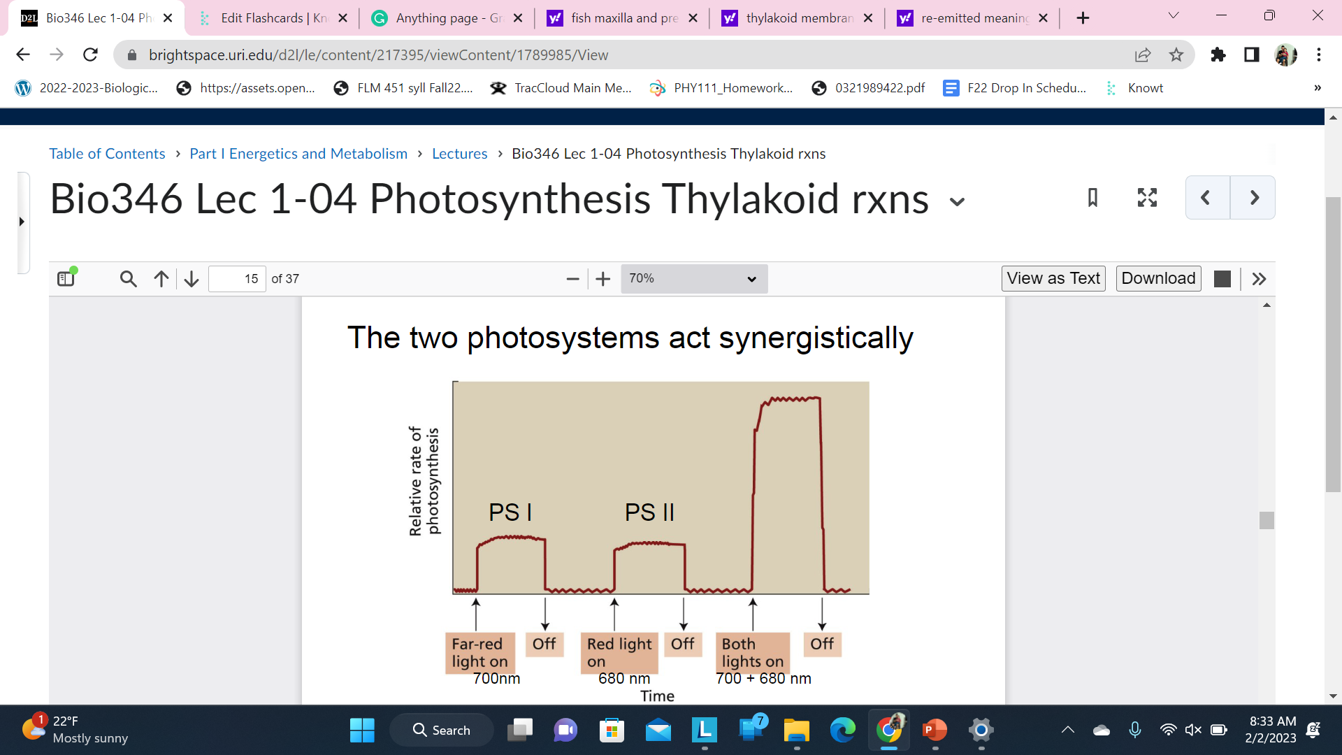 Each Photosystem can absorb light to power photosynthesis but when both are activated they work synergistically - More then just the addition of the two parts