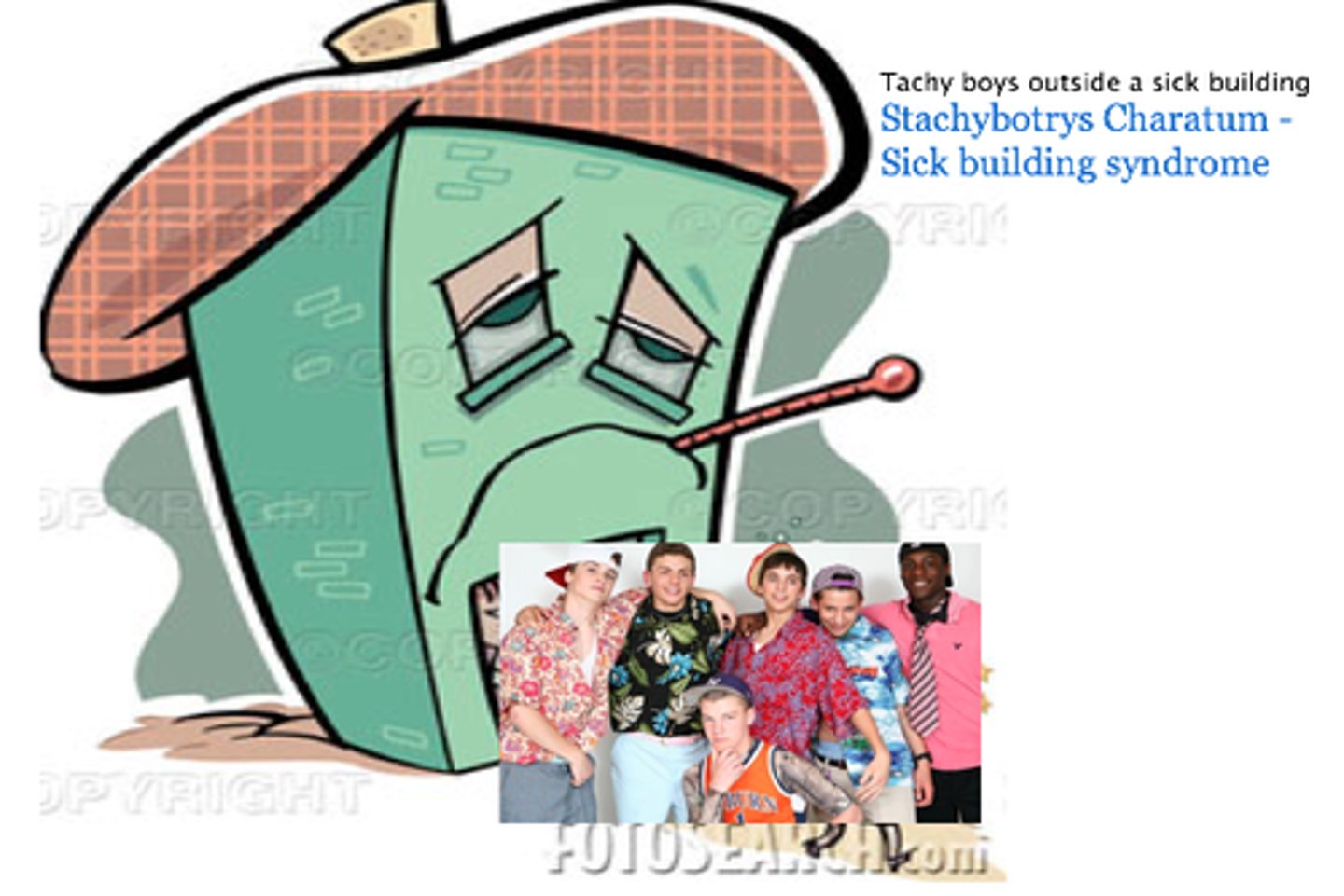 <p>Buildup of toxic compounds and pollutants indoors because of better insulation to save energy. Proved when symptoms subside when leave building.</p>