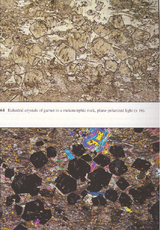 term image