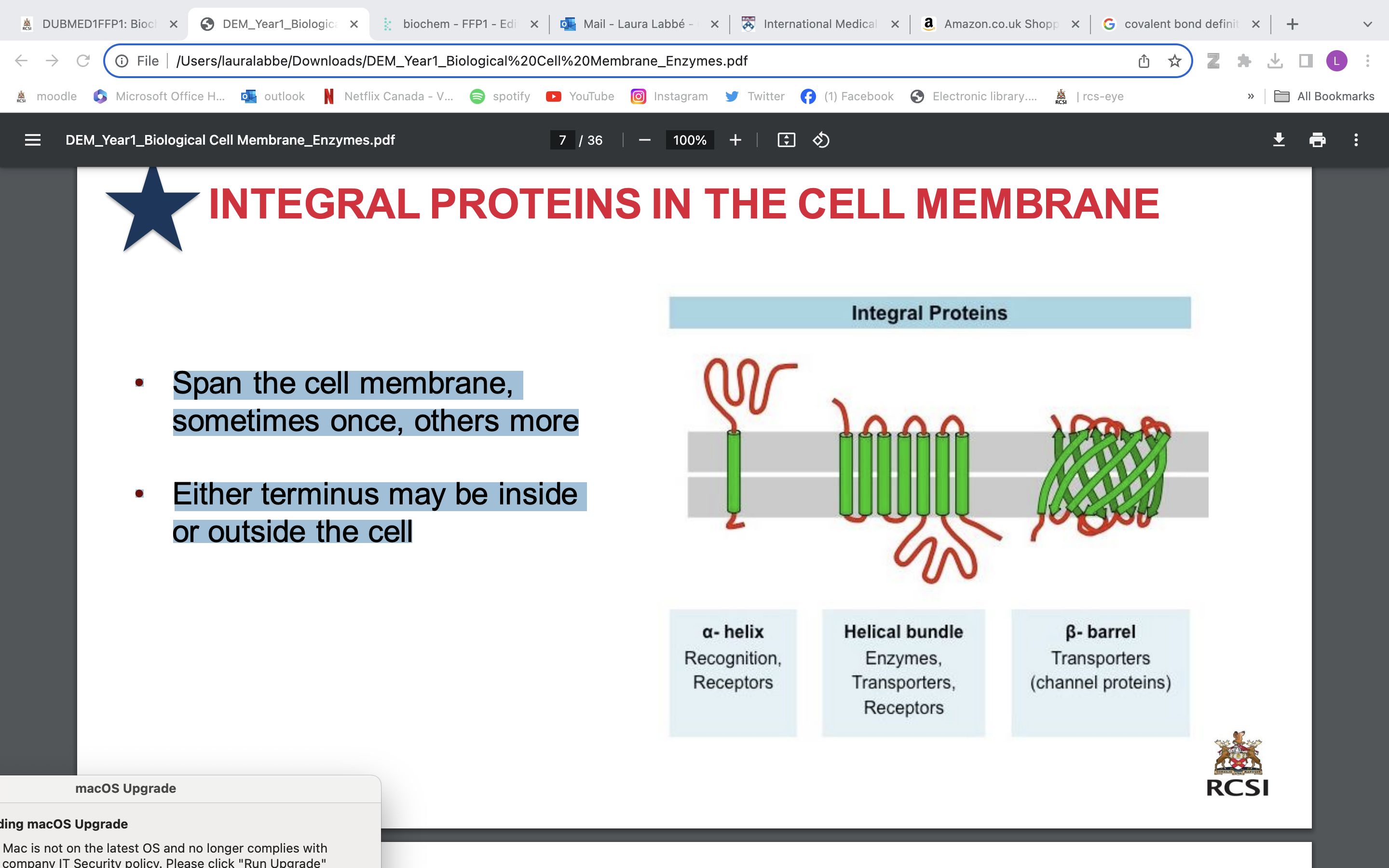 <p>• Span the cell membrane, sometimes once, others more </p><p>• Either terminus may be inside or outside the cell</p>