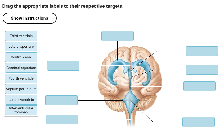 <p>Match the following</p>