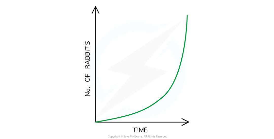 <p>if the offspring for every individual survived to adulthood and reproduced then the pop = exp growth</p><ul><li><p>only happens when no environmental factors or pop checks are acting on pop (e.g. lots of resources and no disease)</p></li><li><p>one well-known but rare example of expo growth = introduction of european rabbits to aussie</p></li><li><p>rabbits had an abundance of resources little comp and no predators so increased rapidly = pest</p></li></ul><p>in reality, several env factors prevent every individual in a pop from making it to adulthood and reproducing</p><p></p>