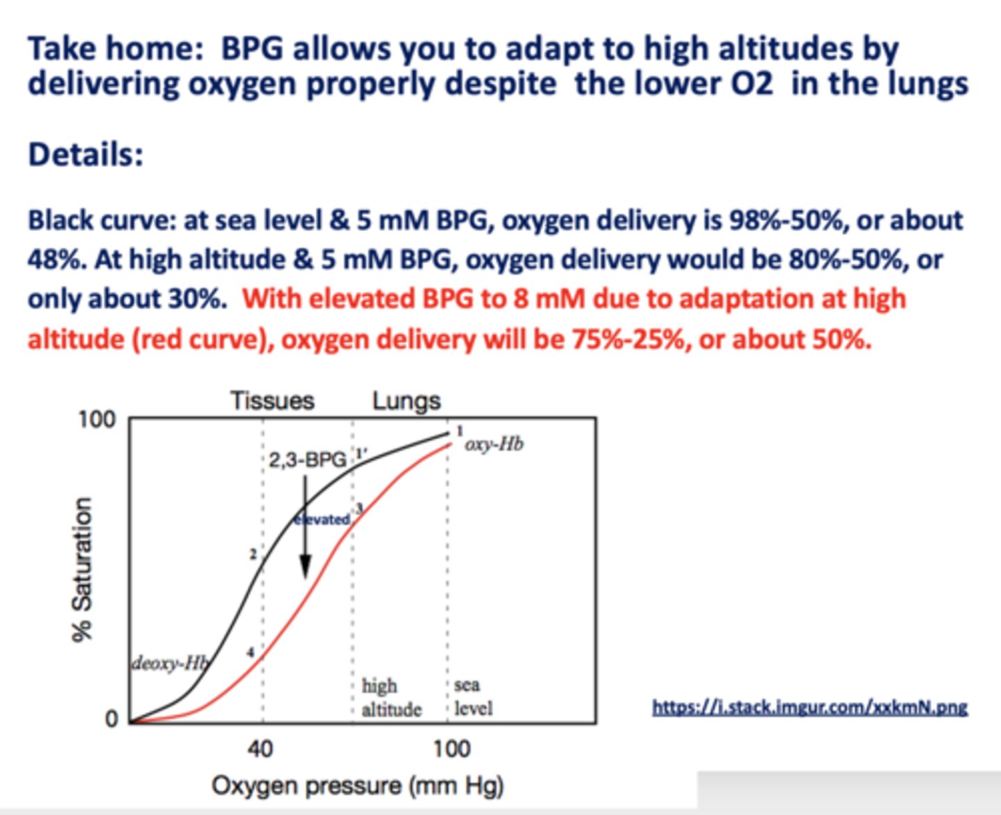 <p>BPG</p>