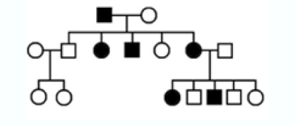 <p><span>inheritance pattern of a dominant allele on an autosome</span></p>