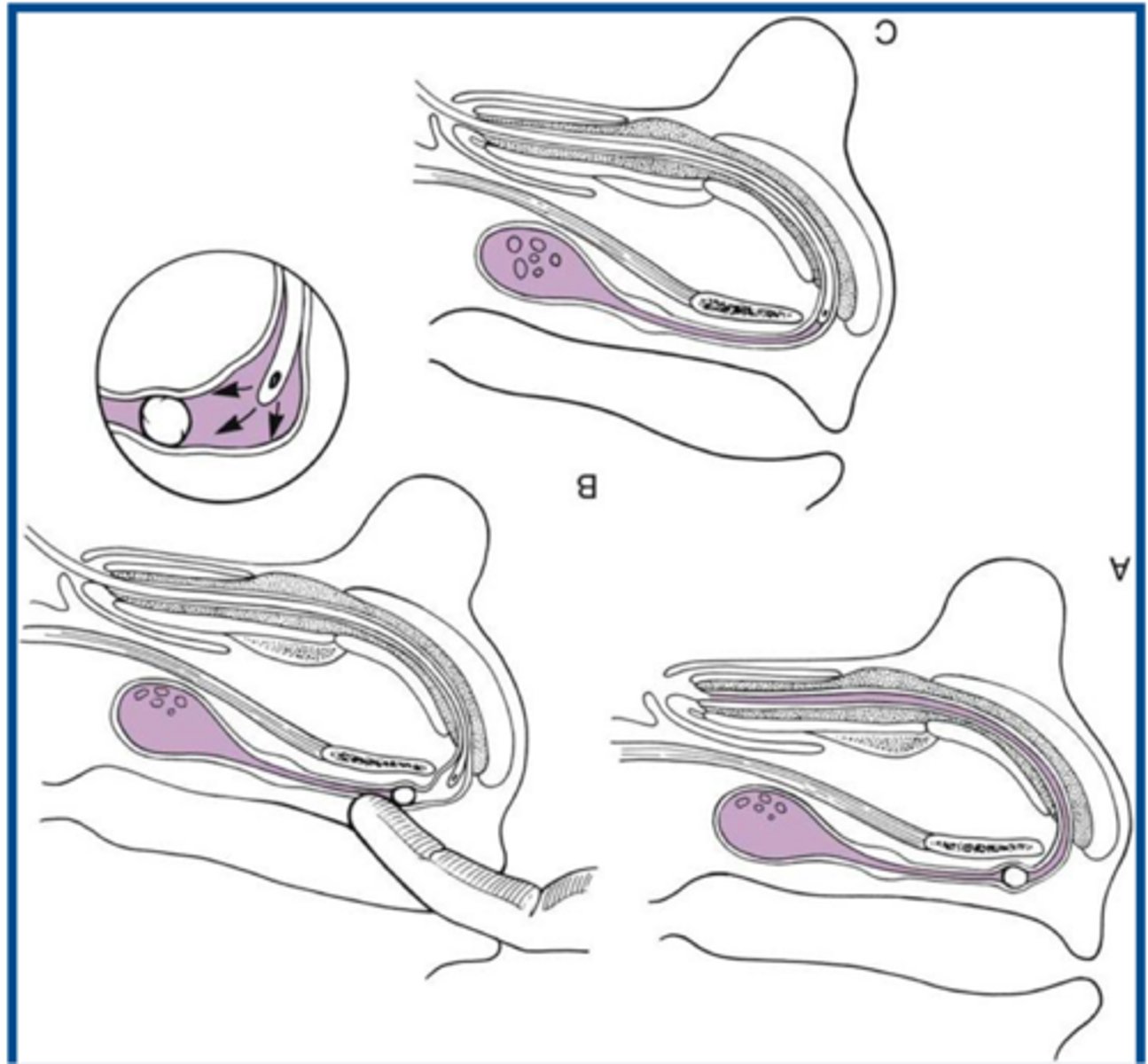 <p>what is shown here</p>