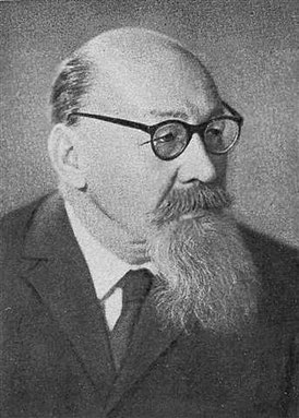 <p>Реформатский</p>