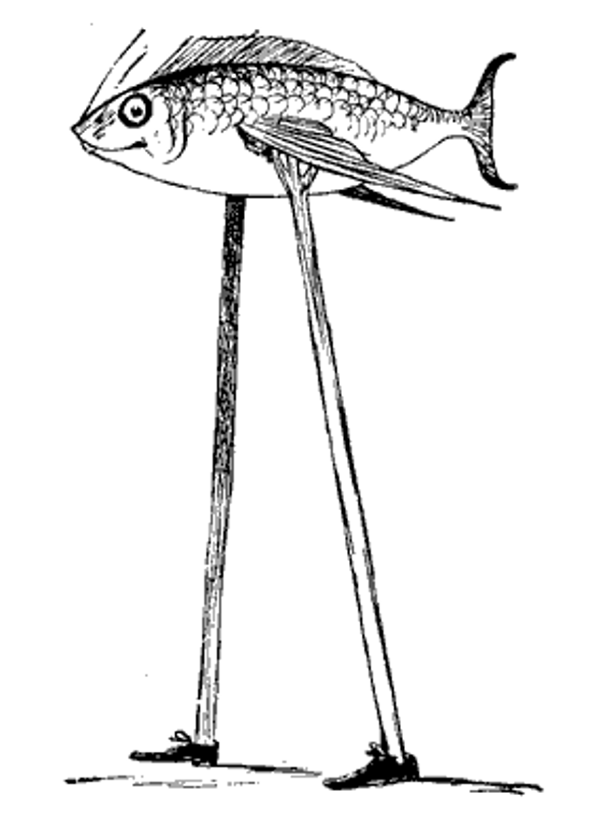 <p>Bzdura</p>