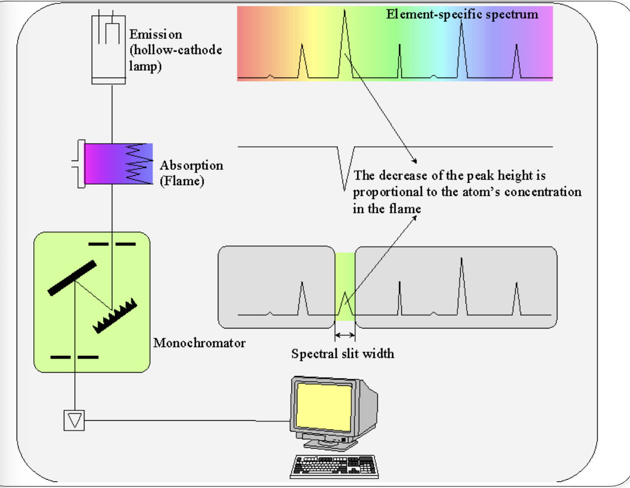 <ul><li><p>specific light <span>λ </span></p></li><li><p><span>passes through flame containing sample atoms</span></p></li><li><p><span>ground-state atoms specifically absorb λ</span></p></li></ul><p></p>