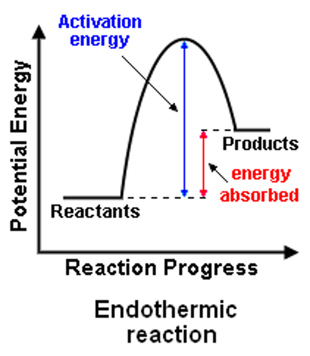 <p>in endo, products have higher energy that reactantts</p>