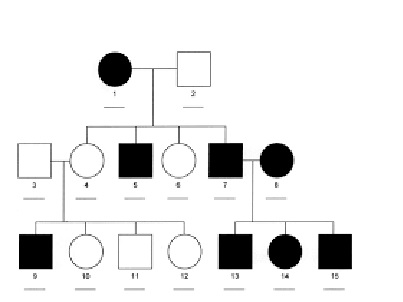 <p><span style="font-family: system-ui; font-size: 17px;">This pedigree is an example of what type of inheritance? Assume that in this case there is no, and I mean absolutely no, possibility of outside individuals being heterozygous.</span></p>