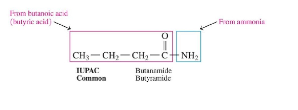 <ul><li><p>drop -oic acid (IUPAC) or -ic acid (common) from the carboxylic acid name and add the suffix amide</p></li></ul>