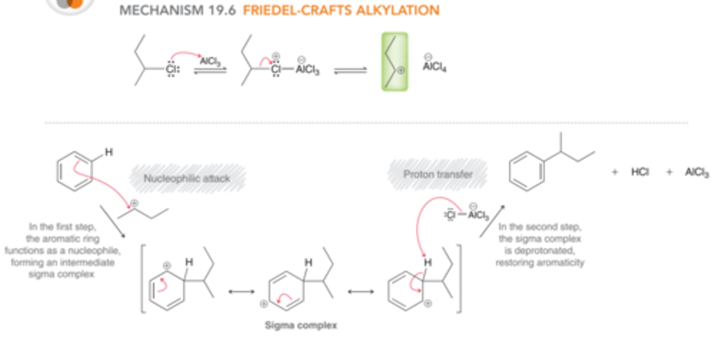 <p>1st step: The aromatic ring functions as a nucleophile and attacks the carbocation, forming a sigma complex</p><p>2nd step: The sigma complex is then deprotonated to restore aromaticity</p>