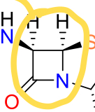<p>Cyclic amide - 4 membered ring with a N </p>