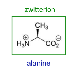 <p>neutral species that exists with both positive and negative charges</p>