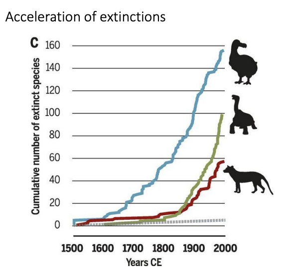 <ul><li><p>incresing numbers of specires threatened with extinction</p></li></ul><p></p>