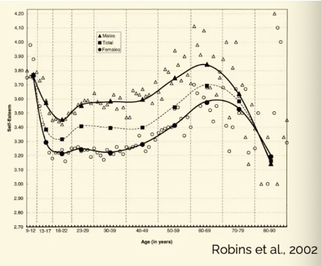 <ul><li><p>can start assessing yourself around 8 years</p></li><li><p>starts high, declines through childhood</p></li><li><p>mixed findings during adolescence</p></li><li><p>becomes stable at around 14 years (in regards to relative ranking within a group)</p></li></ul>