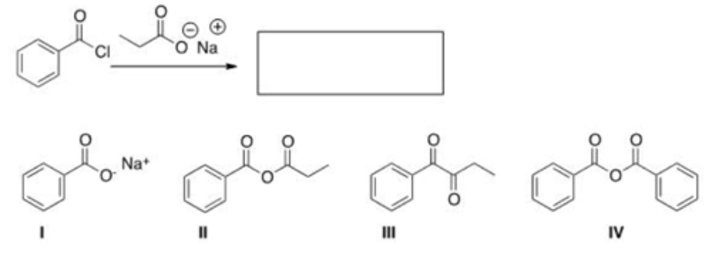 <p>B</p>