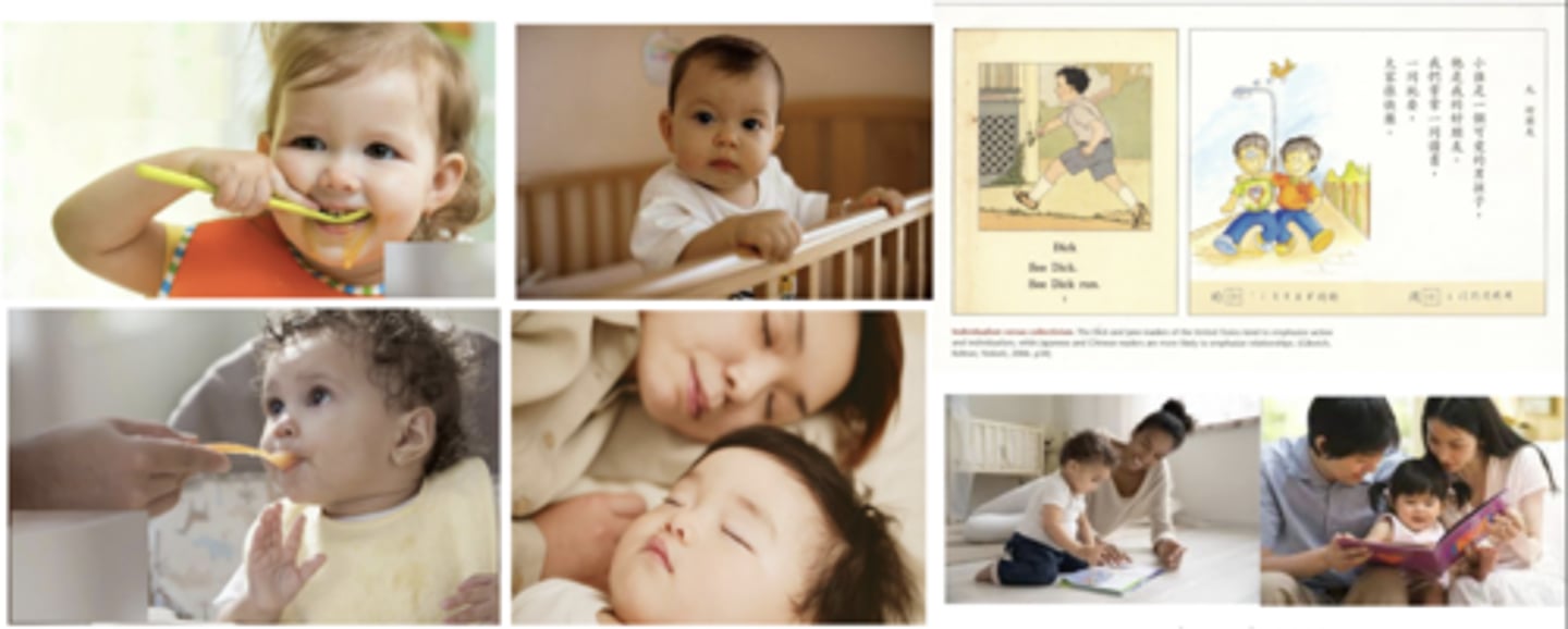 <p>PRIMARY:</p><p>1. Co-sleeping is a dominant model worldwide:</p><p>- Independent cultures like the U.S. (kids in crib)</p><p>- Collectivist cultures like Japan (kids in bed with parents)</p><p>2. Feeding:</p><p>- Ind. cultures like the U.S. (kids learn to eat themselves quicker)</p><p>- Coll. cultures like Japan (kids are fed by parents longer)</p><p>3. Reading:</p><p>- Ind. cultures like the U.S. (books emphasize independence and action)</p><p>- Coll. cultures like Japan (books emphasize relationships)</p>