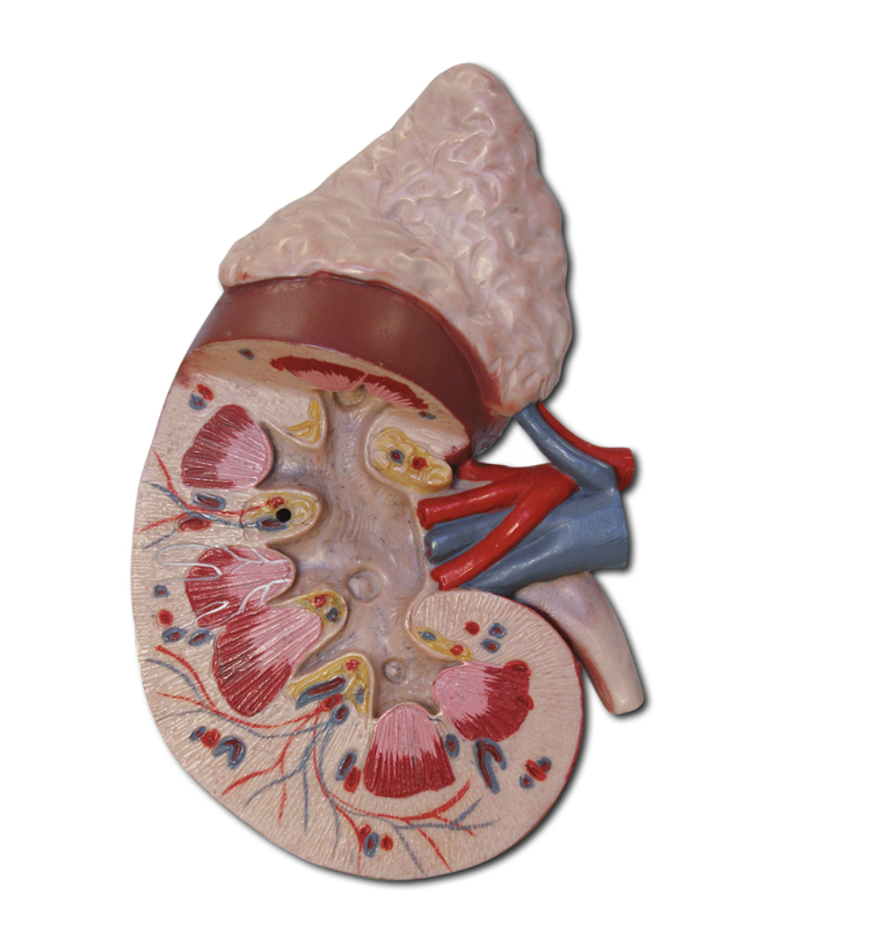 <p>What is this?</p>