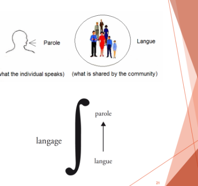<p>focus on language system(langua)</p><p>Not the actual language used by individuals (parole)</p><p>Goal: analyze elements in language system and their relations (e.g <u>m</u>at, <u>b</u>at, <u>c</u>at…)</p>