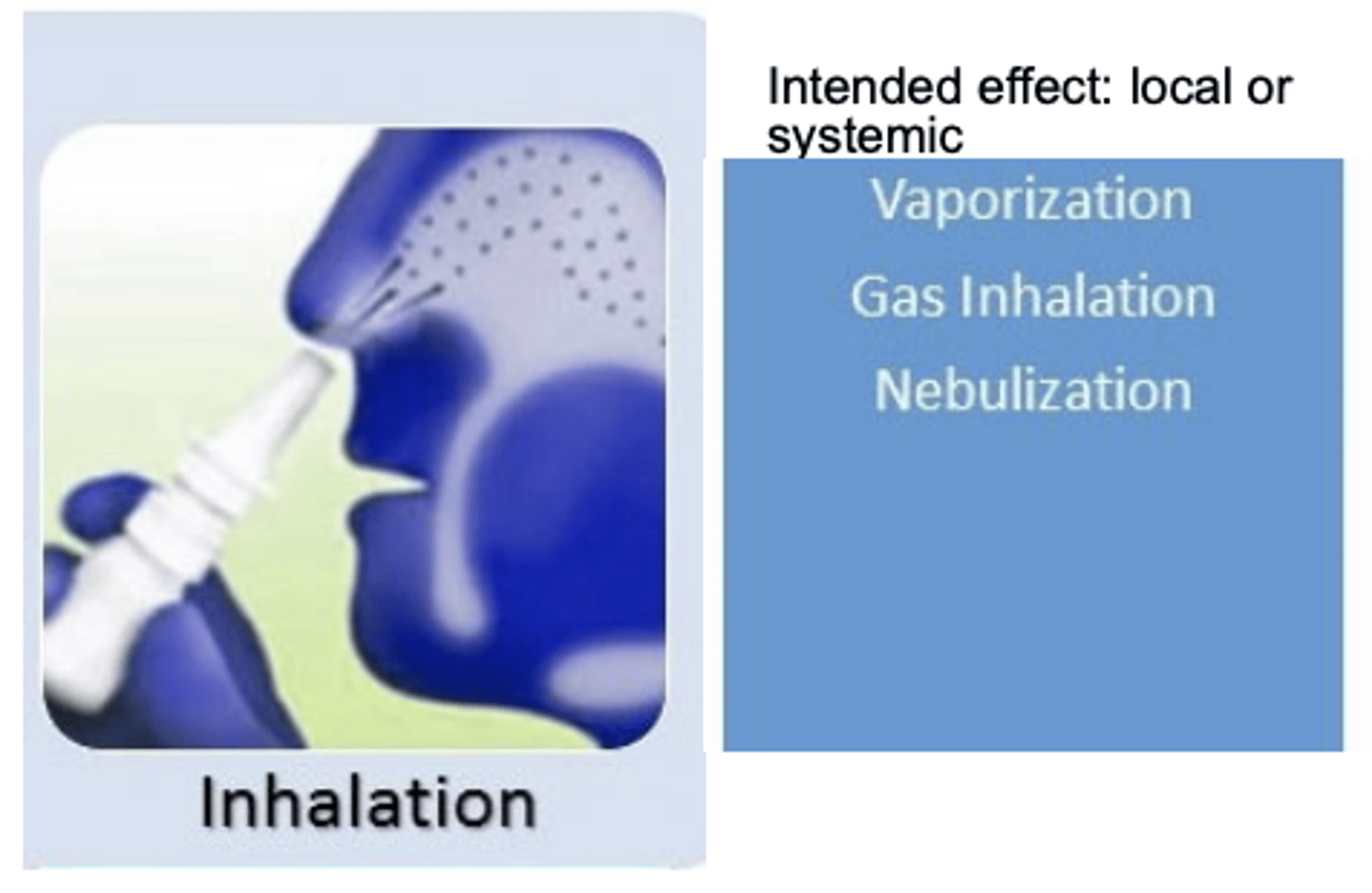 <p>FALSE</p><p>- inhalation drugs CAN have first-pass effects (not caused by liver, but cells in lung)</p><p>- pulmonary drug metabolism </p><p>- </p>