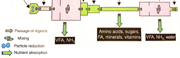 <p>Type?</p>
